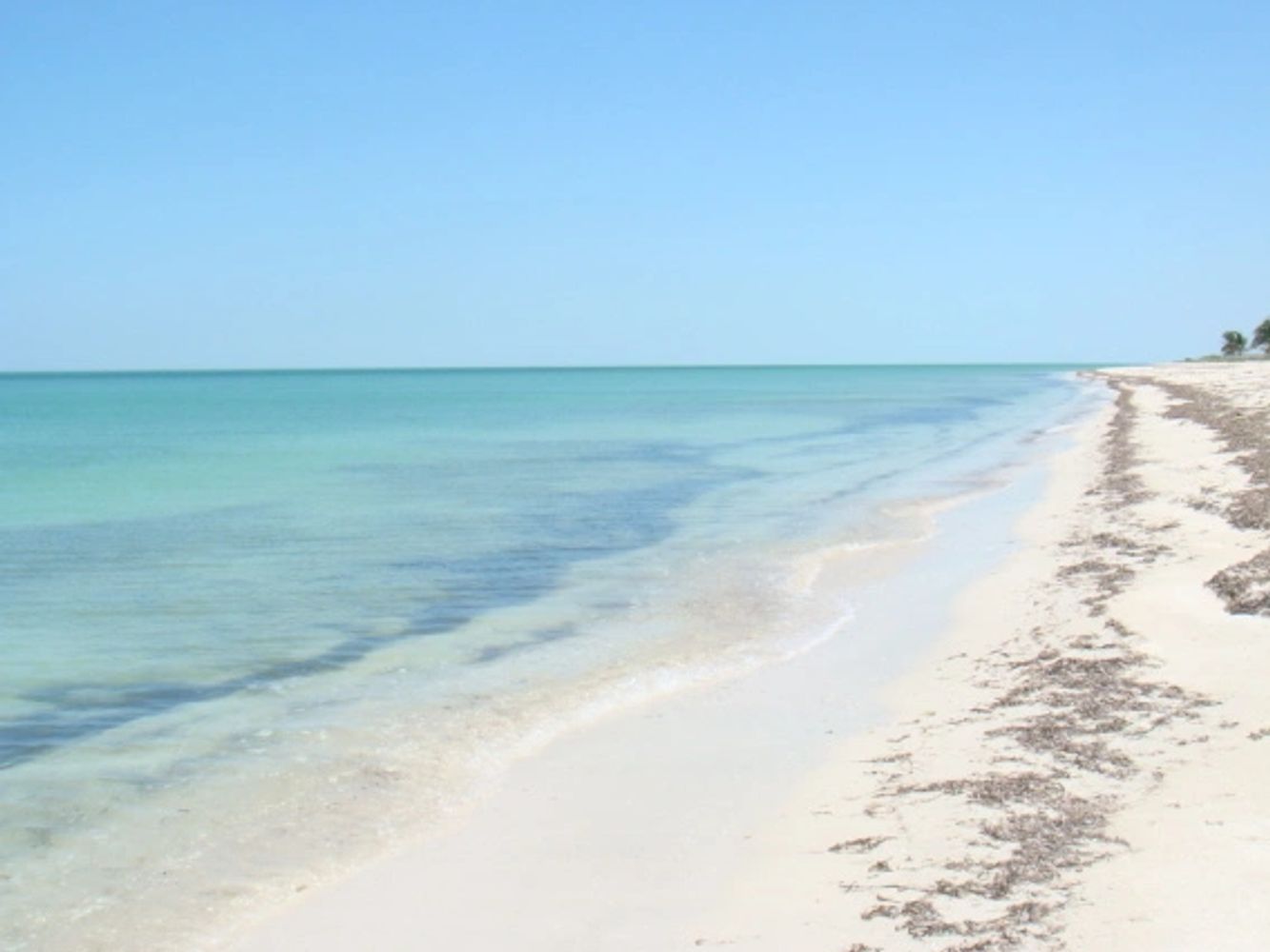 Yucatan Property Management